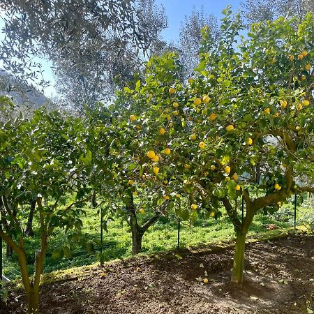 Sorrento Realty Holidays - The Smile Of The Sun Экстерьер фото